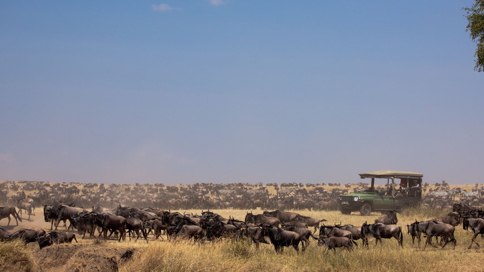 Kenya Safaris | Kenya Safari Holidays | Africa Odyssey