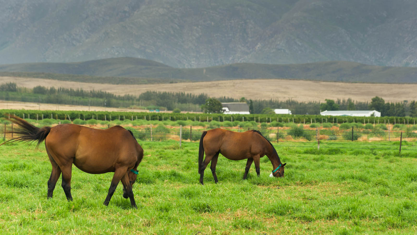 Best Places To Stay In Drakensberg Where To Stay In Drakensberg