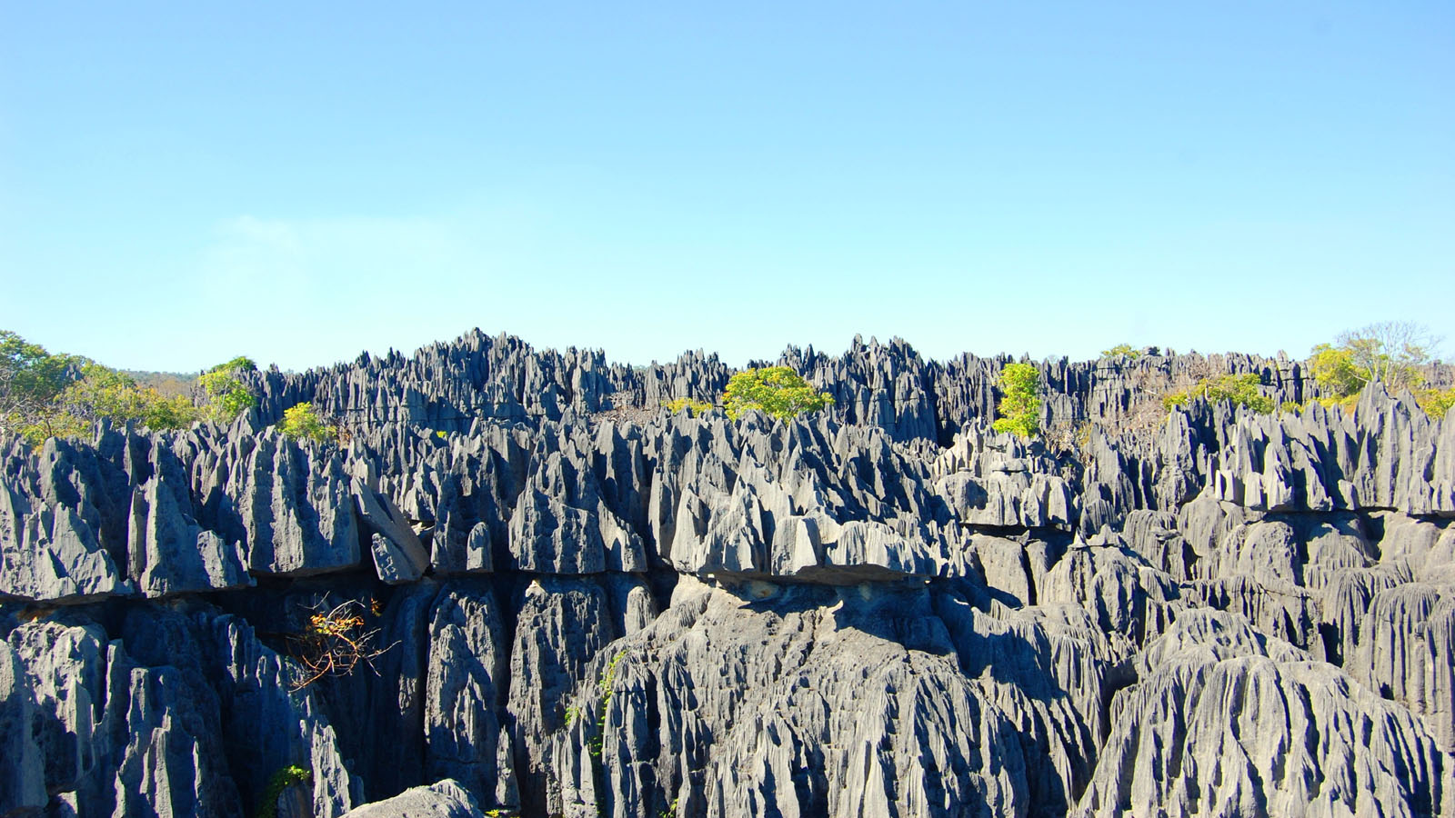 Tsingy De Bemaraha Madagascar Holidays Africa Odyssey